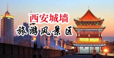 爆擦妓女网中国陕西-西安城墙旅游风景区