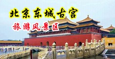 脱光干ⅹ中国北京-东城古宫旅游风景区